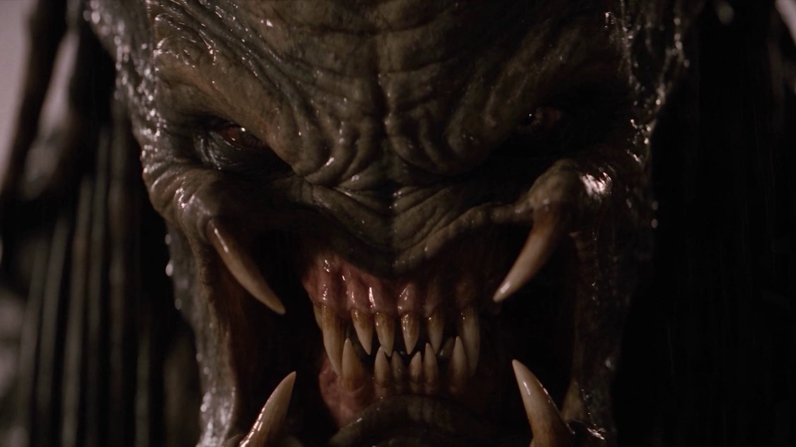 Creature close-up